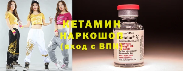 индика Алзамай