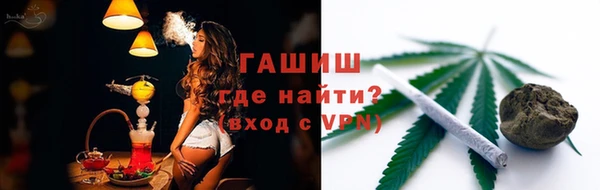 индика Алзамай