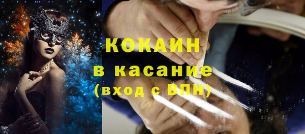 индика Алзамай