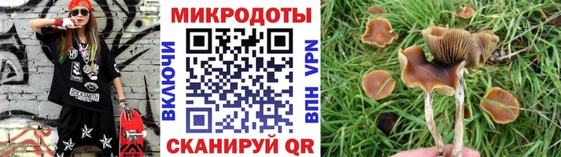 Псилоцибиновые грибы MAGIC MUSHROOMS Минусинск