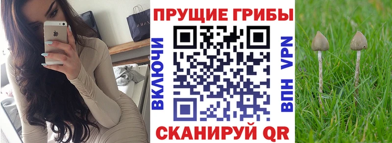 Галлюциногенные грибы Magic Shrooms наркотики Минусинск